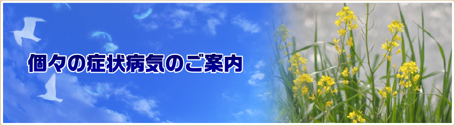 個々の症状病気のご案内