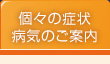 個々の症状病気のご案内